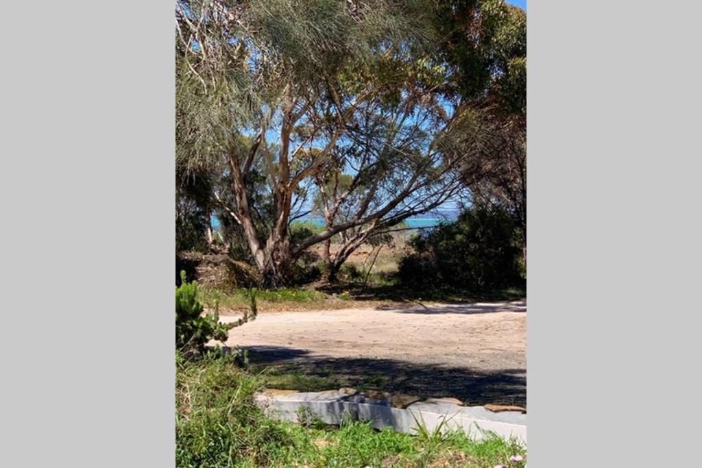 קינגסקוטה Leeward 'Tranquil Beachfront' מראה חיצוני תמונה