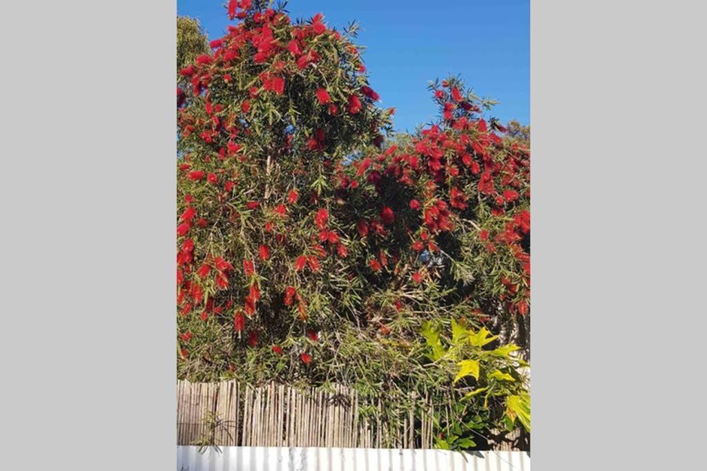 קינגסקוטה Leeward 'Tranquil Beachfront' מראה חיצוני תמונה